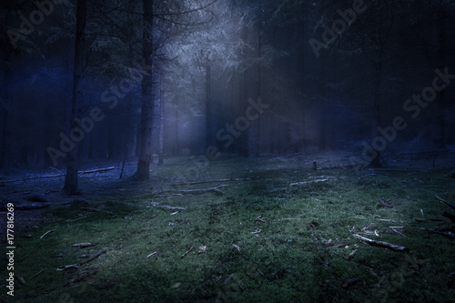 Dark forest and green den with mist and moonlight