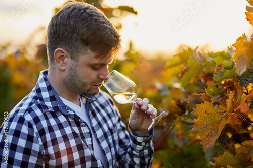 Portrait of man tasting white wine in a vineyard at sunset.