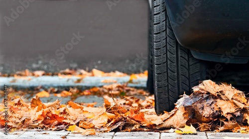 Fahrzeug parkt im Herbstlaub 
