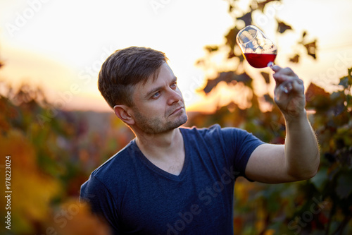 Man tasting red wine in a vineyard. Sunset with autumn colors.