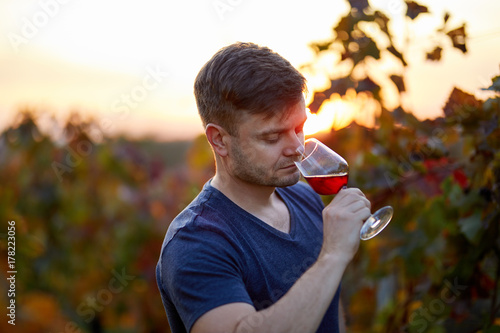 Portrait of man tasting red wine in a vineyard at sunset.