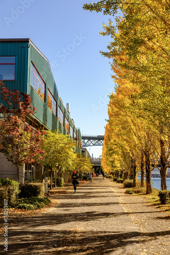 Fall colors line a bike path in Seattle
