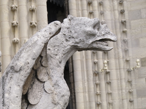 Zdjęcie XXL Gargoyles Of Paris. Widzieli wiele ... (Rozległa Rosja, Siergiej, Briańsk).