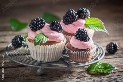 Delicious blackberry cupcake with berries and pink cream