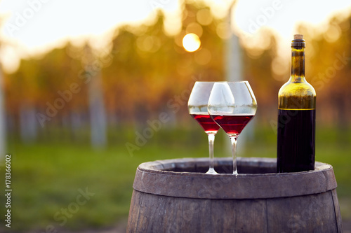 Two glasses of red wine and bottle in autumn vineyard