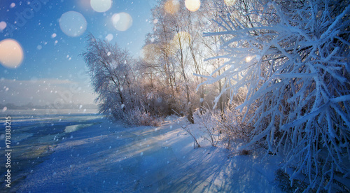 Christmas background with snowy fir trees
