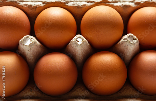 Raw chicken eggs in egg box.