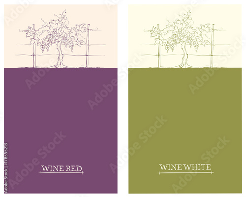 Label for red and white wine -- set / Vector illustration, floral design element
