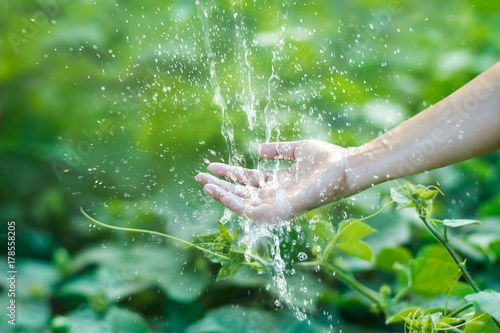 Water pouring in human hand on nature background, environment issues