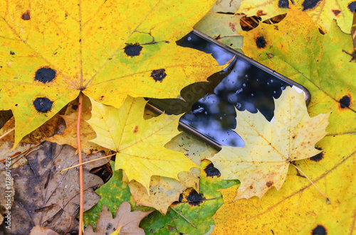 lost mobile phone lying in a heap of yellow autumn leaves in the rain