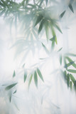 Green bamboo in the fog with stems and leaves behind frosted glass