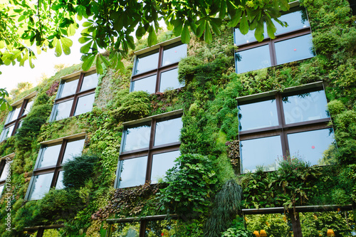 Green architecture concept. Building exterior covered with plants in modern city