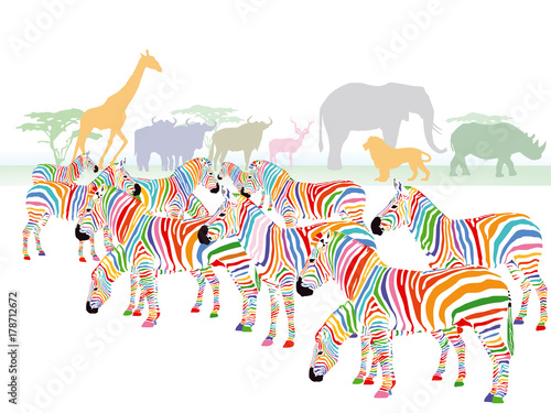 Farbenfrohe Zebras in der Savanne