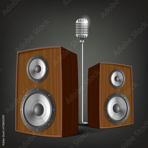 Audio speakers and a microphone