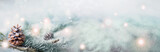 Magic Winter Landscape at Christmas Time - Panorama, Banner, Background