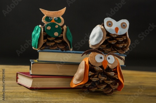 Close up of owls made with pine cones on books