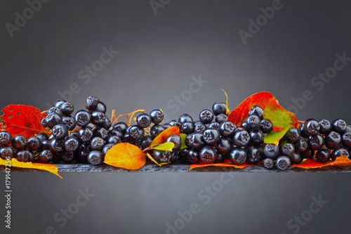 Black chokeberry with autumn leaves on a dark background.