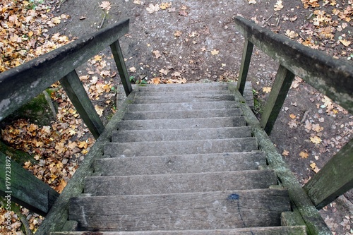 Fototapeta A wooden staircase in the park in the estate of Count Leo Tolstoy in Yasnaya Polyana.