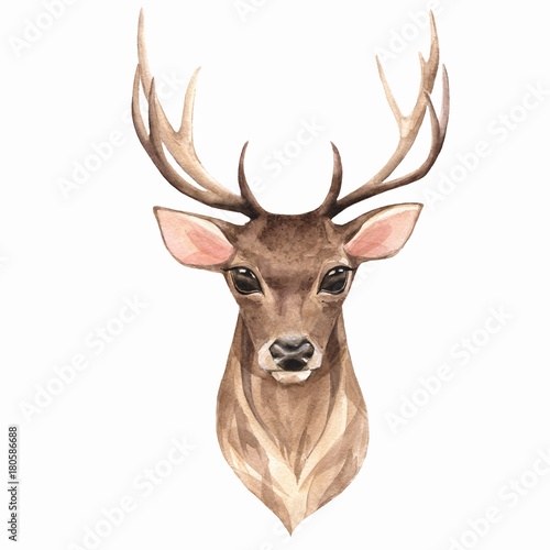  Noble deer. Watercolor illustration 1