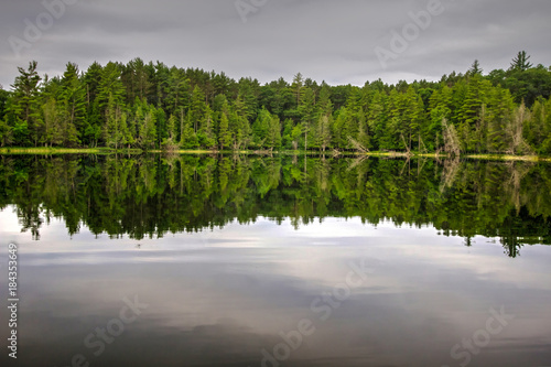 Zdjęcie XXL Refleksje nad jeziorem Wilderness. Las sosnowy odzwierciedlenie w czystym dziewiczy wody jeziora pustyni w lesie w północnym Michigan.