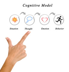 Components of Cognitive Model