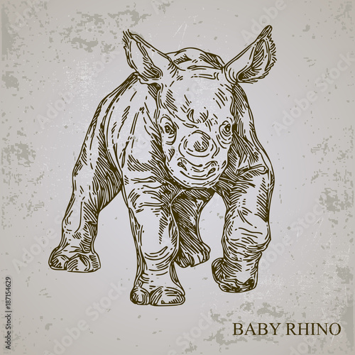 Obraz na płótnie Baby animals. Wild. Rhino. Vintage style. Vector illustration.