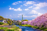 Mt. Fuji in Spring