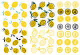 Lemon vector illustration