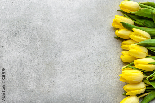 Plakat Żółci tulipany, wiosny Easter tło dla kobieta dnia lub karta dla matka dnia z kwiatami