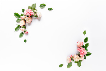 Border frame with pink rose flower buds branches isolated on white background. Flat lay, top view. Floral background. Floral frame. Frame of flowers.