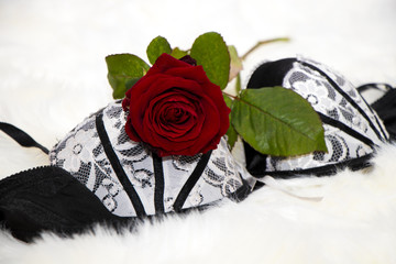 sexy black white lingerie with a red rose on a white fur - valentines day - surprise verführung