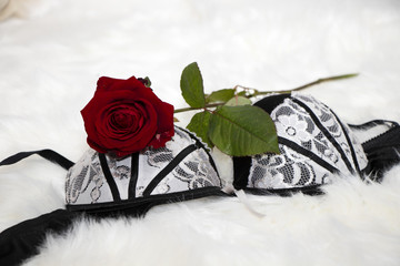sexy black white lingerie with a red rose on a white fur - valentines day - surprise verführung