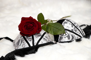 sexy black white lingerie with a red rose on a white fur - valentines day - surprise verführung