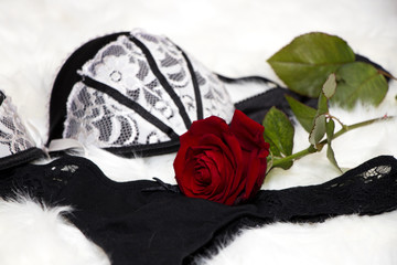 sexy black white lingerie with a red rose on a white fur - valentines day - surprise verführung