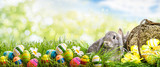 hase mit Korb eiern in der natur landschaft