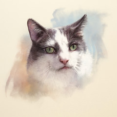 Cute cat. Watercolor portrait of a cat. Drawing of a cat with green eyes executed in watercolor. Good for print T-shirt. Art background, banner for pet shop. Hand painted watercolor cat illustration.