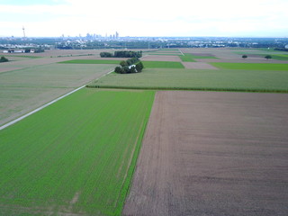 Frankfurt von oben