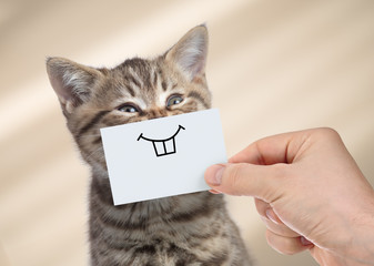 funny cat with smile on cardboard