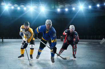 Ice hockey players on the grand ice arena