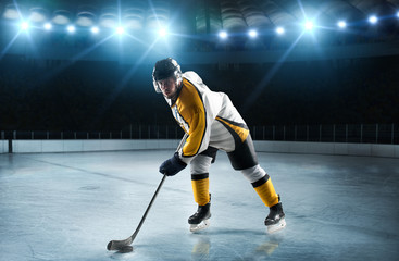 Ice hockey players on the grand ice arena
