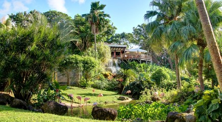 jardin exotique et cascade de la Guadeloupe
