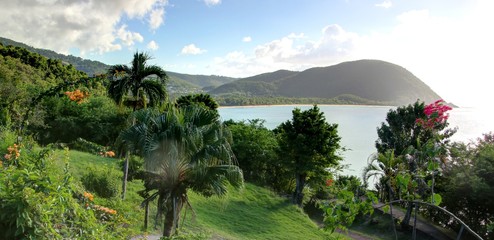 jardin exotique et cascade de la Guadeloupe