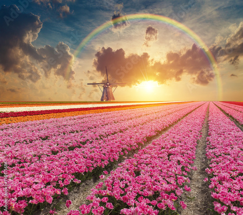 Plakat The road leading to the Dutch windmills from the canal in Rotterdam. Holland. Netherlands