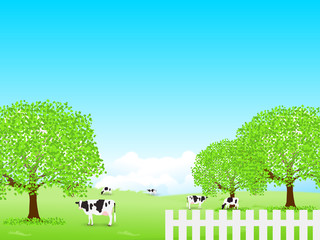 牛　牧場　風景　背景 