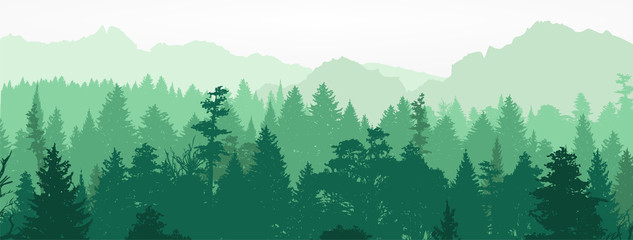 Forest silhouette, vector illustration.