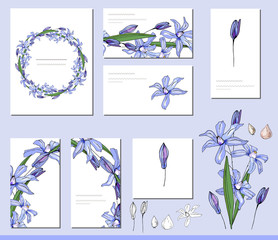 Scilla set with visitcards and greeting templates