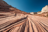 Landscape in Zion National Park
