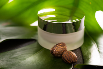 Shea Butter nuts with a jar of cream