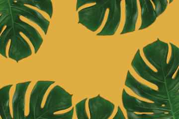 Graphic composition of leaves