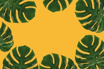 Graphic composition of leaves